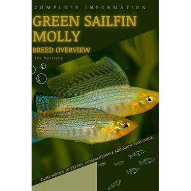 Green Sailfin Molly: From Novice to Expert. Comprehensive Aquarium Fish Guide