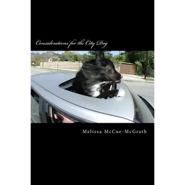 Considerations for the City Dog