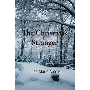 The Christmas Stranger