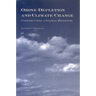 Ozone Depletion and Climate Change: Constructing a Global Response