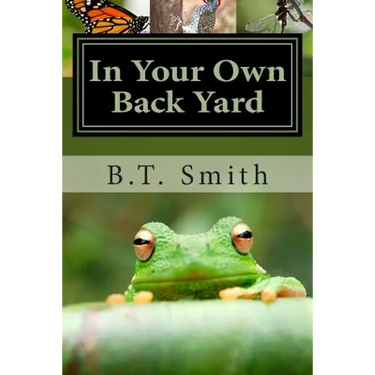In Your Own Back Yard: Birds, Bees and Flys - Oh My!