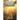 Vision of the Miracle