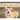 Pembroke Welsh Corgis