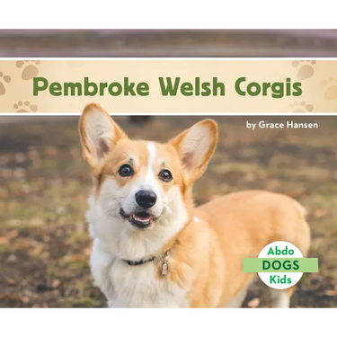 Pembroke Welsh Corgis