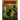 Eerie Archives Volume 11 (Double-Sized Volume)
