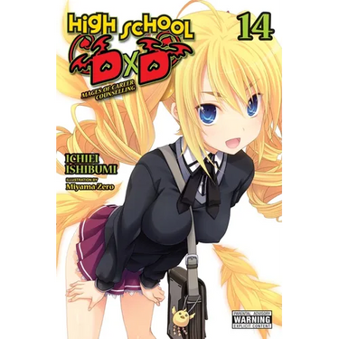 High School DXD, Vol. 14 (Light Novel): Mages of Career Counselling