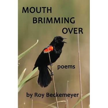 Mouth Brimming Over: Poems