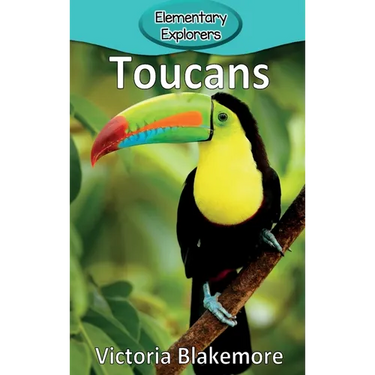 Toucans