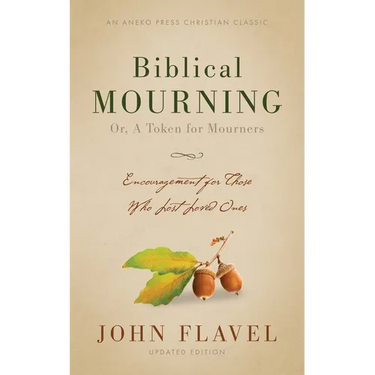 Biblical Mourning: Encouragement for Those Who Lost Loved Ones