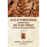 Atlas Of Pennsylvanian (Carboniferous) Age Plant Fossils of the Central Appalachian Coalfields: Volume 2