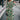 724611d50a3941ff9a6984b7b2a0c5dd-Max