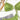 72ffd73c2e694651b8a0fd8a5f911bc7-Max