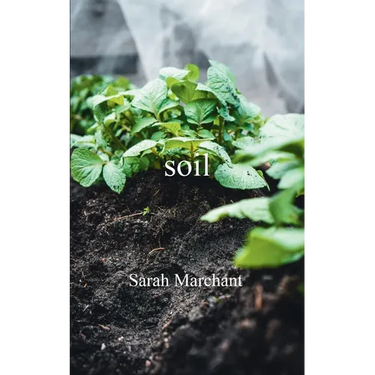 soil