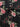 73ddff2f-d2b1-49d9-a560-f9cb5de714a6-Max