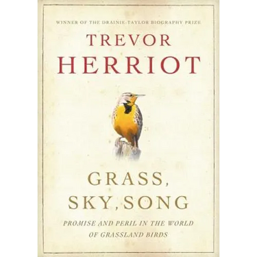 Grass, Sky, Song: Promise and Peril in World of Grassland Birds