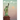 Moon Magic