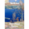 Walking