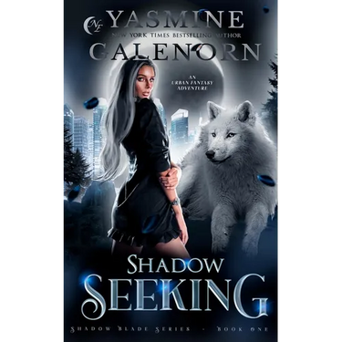 Shadow Seeking: An Urban Fantasy Adventure