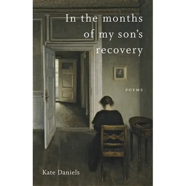In the Months of My Son's Recovery: Poems