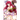 High School DXD, Vol. 4