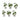 Assorted Foliage Plant in Grey Pot (Set of 6)