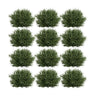 Spring Grass Half Orb (Set of 12)