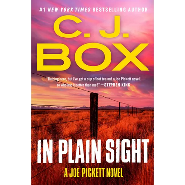 In Plain Sight