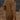 78f0ed3c1eef40cbbffb44d28e0a3e3a-Max