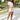 792155aa-fa31-470c-82df-6595e1071184-Max