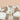 7924c3a3-5506-4200-b413-4d3346e384a3-Max