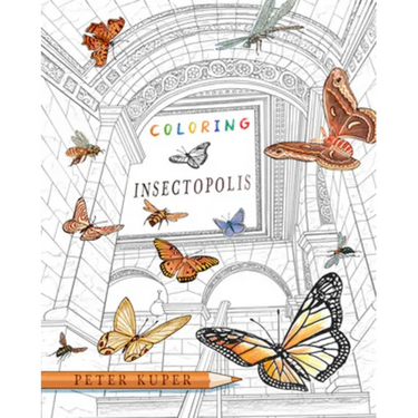 Coloring Insectopolis