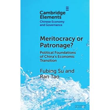 Meritocracy or Patronage?
