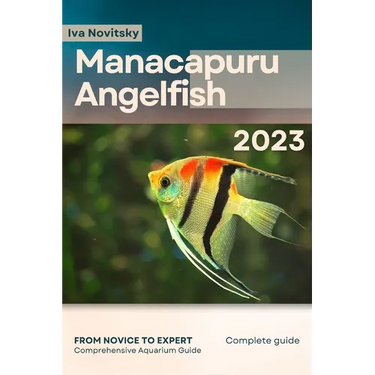 Manacapuru Angelfish: From Novice to Expert. Comprehensive Aquarium Fish Guide