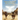 Angels and Mysteries and Incredible Happenings in the Wild Wild West