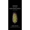 Grasses of the Northern Forest: Quick Guide