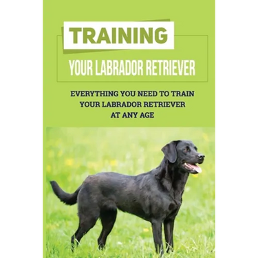 Training Your Labrador Retriever: Everything You Need To Train Your Labrador Retriever At Any Age: How Much Is Enough Exercise For Labrador Retriever