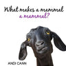 What Makes a Mammal a Mammal?