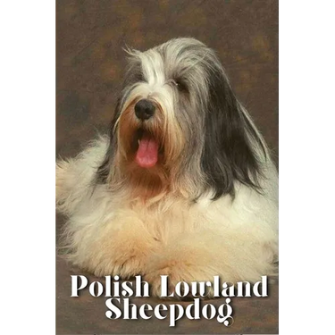 Polish Lowland Sheepdog: Dog breed overview and guide