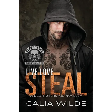 Live Love Steal: A Destroyers MC Novella