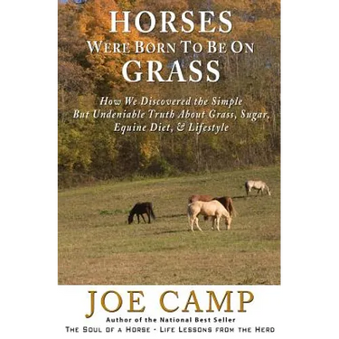 Horses Were Born to be on Grass: How We Discovered the Simple But Undeniable Truth About Grass, Sugar, Equine Diet, & Lifestyle