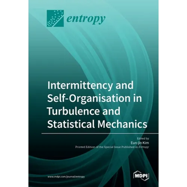 Intermittency and Self-Organisation in Turbulence and Statistical Mechanics