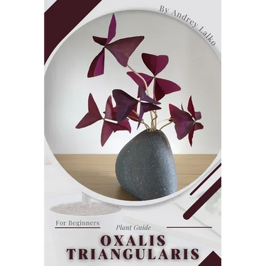 Oxalis triangularis: Plant Guide