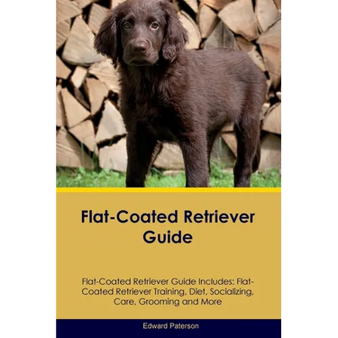 Flat-Coated Retriever Guide Flat-Coated Retriever Guide Includes: Flat-Coated Retriever Training, Diet, Socializing, Care, Grooming, and More