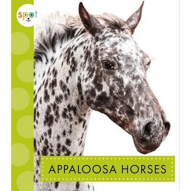 Appaloosa Horses