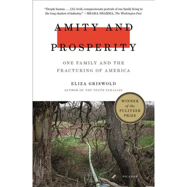 Amity and Prosperity: One Family and the Fracturing of America