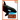 Orca