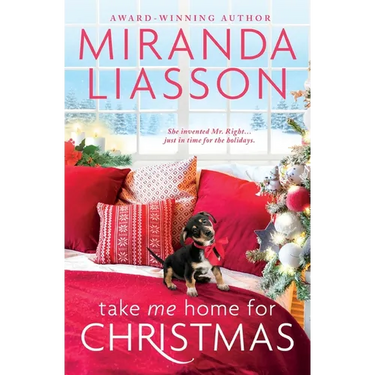 Take Me Home for Christmas