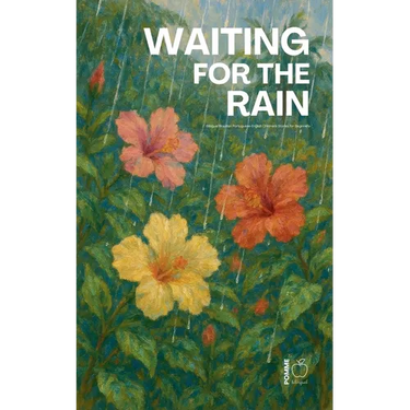 Waiting for the Rain: Bilingual Brazilian Portuguese-English Children's Stories for Beginners