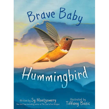 Brave Baby Hummingbird