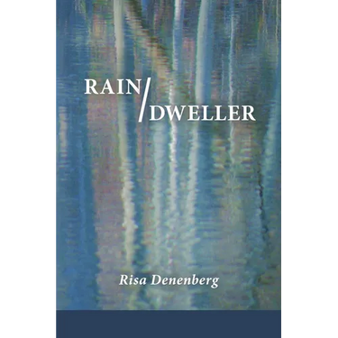 Rain / Dweller